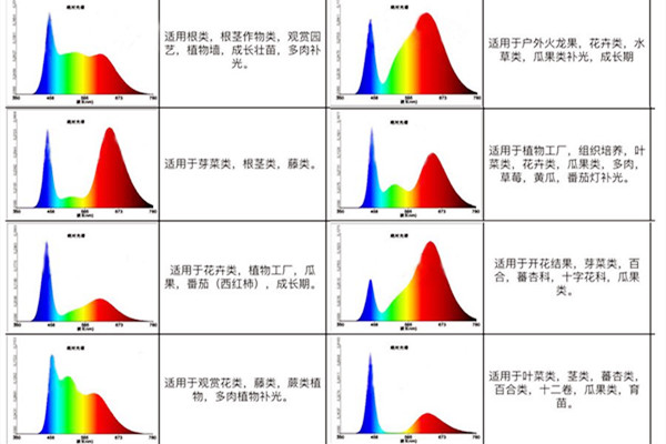 不同科类植物用的植物灯都有所讲究